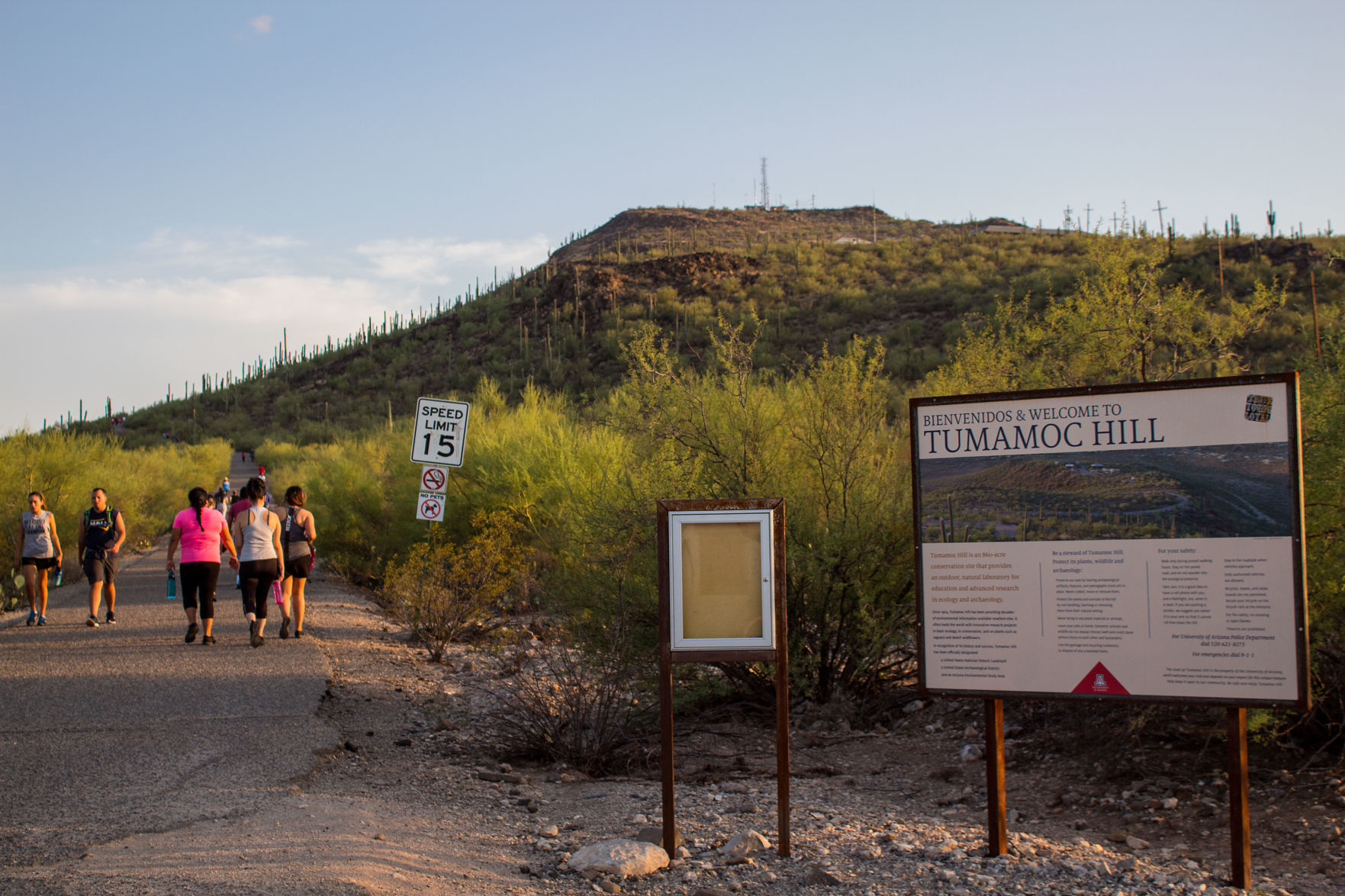 Tumamoc Hill